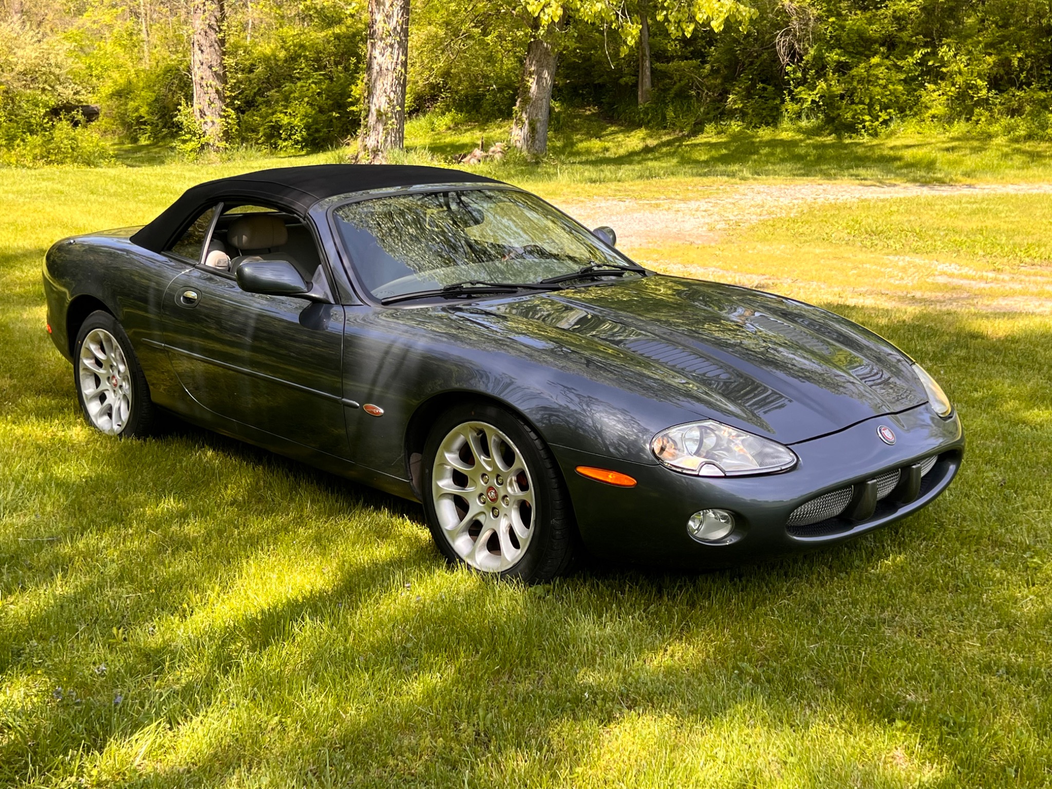 Jaguar angle