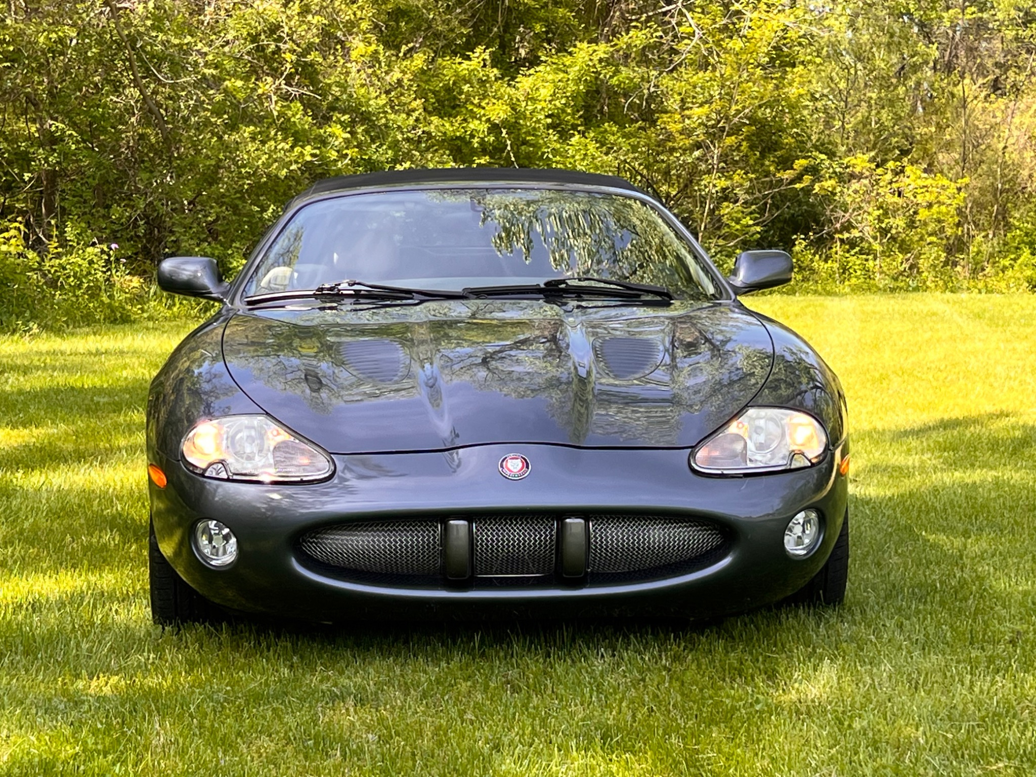 Jaguar front
