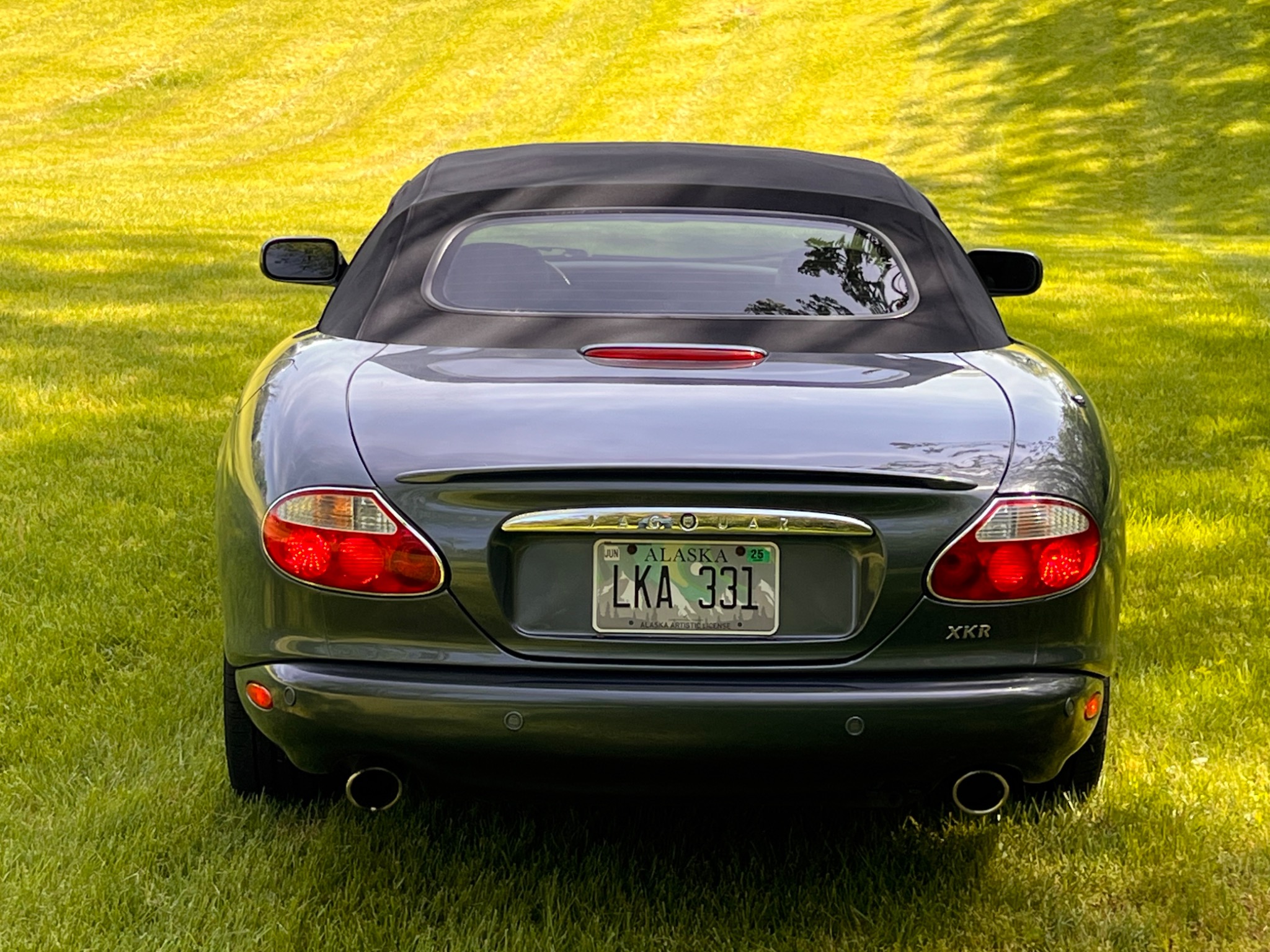 Jaguar rear